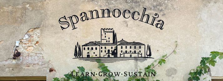 The exterior wall of Pulcinelli, the intern house at Spannocchia, including some vines and the black Spannocchia logo overlaid.