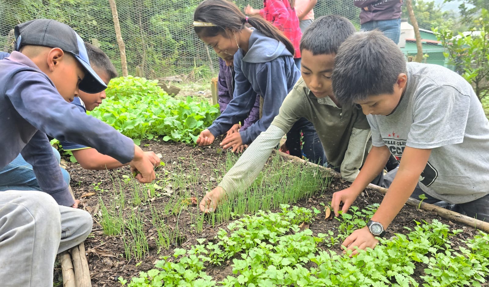 Youth working in a school garden